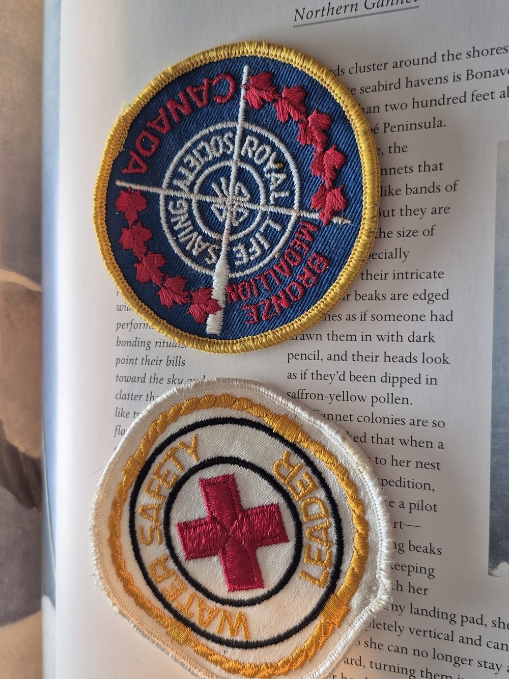 Canadian Patrol Patch & Water Safety Leader Patch - Blue, Red, White, Yellow